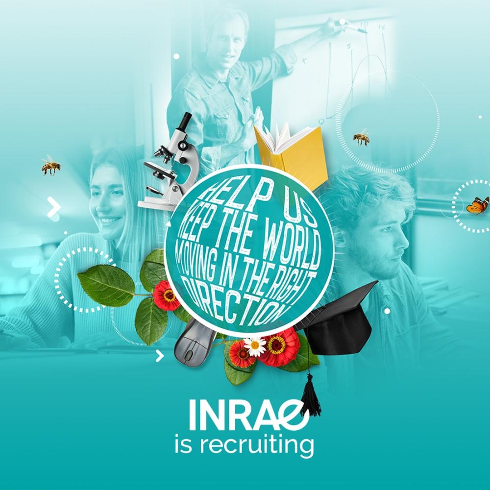 Do your PhD at INRAE!