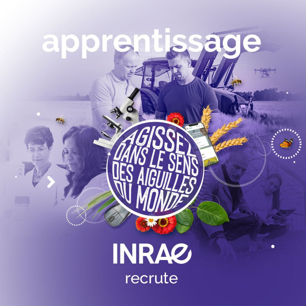 Se former à un métier à INRAE, c’est possible grâce à l’apprentissage !